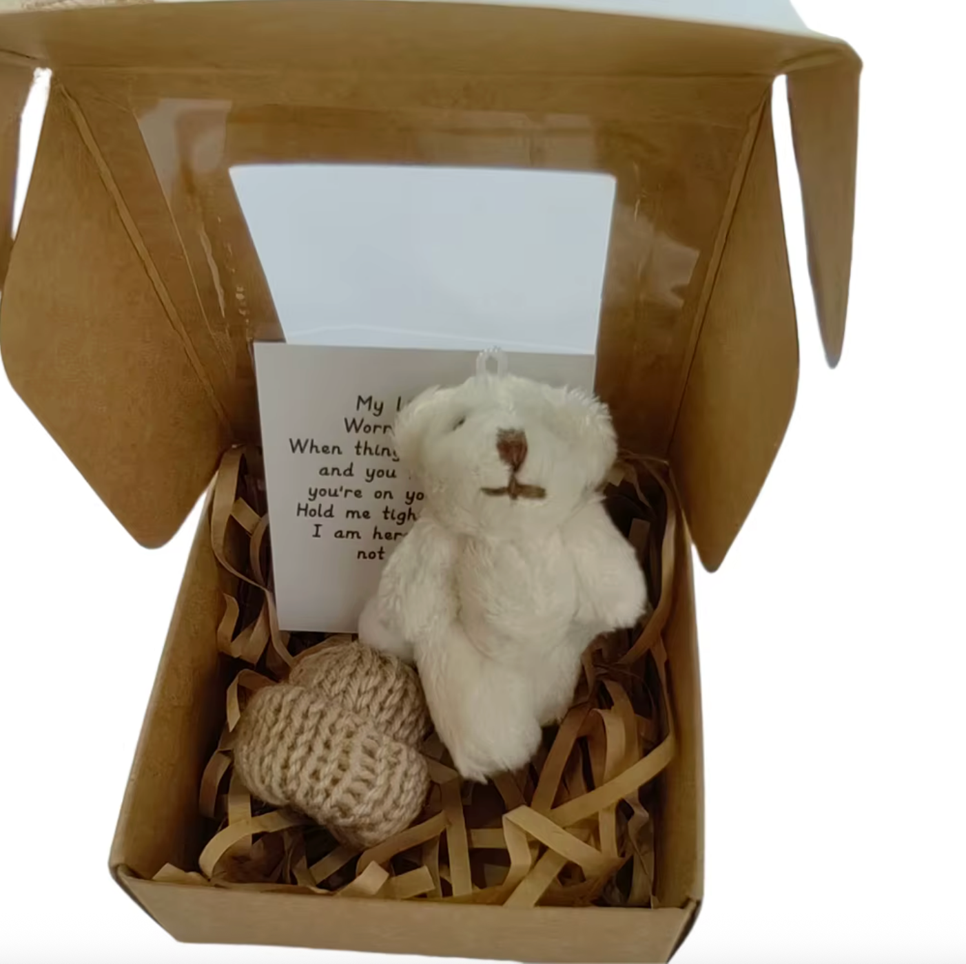 Cuddle Companion Worry Bear™