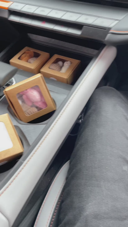 Cuddle Companion Worry Bear™